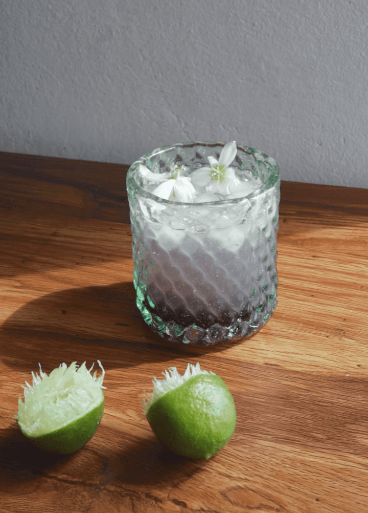 Vasos para cocteles de vidrio reciclado soplado Zorro y Jaguar | Encuentra regalos conscientes colombianos para Geminis